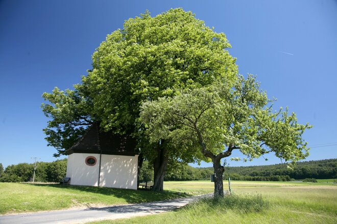 Herrnbildkapelle