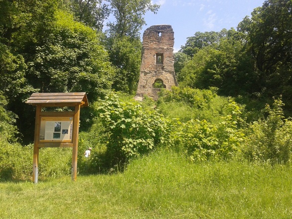 Die Ruine Speckfeld - traumhafter Picknickplatz