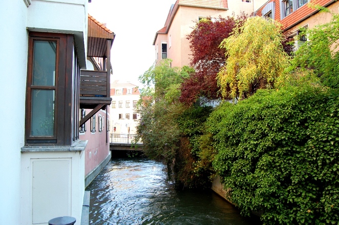 Hamonie zwischen Beton und Natur