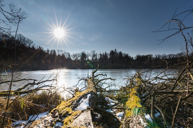 Wolfsee