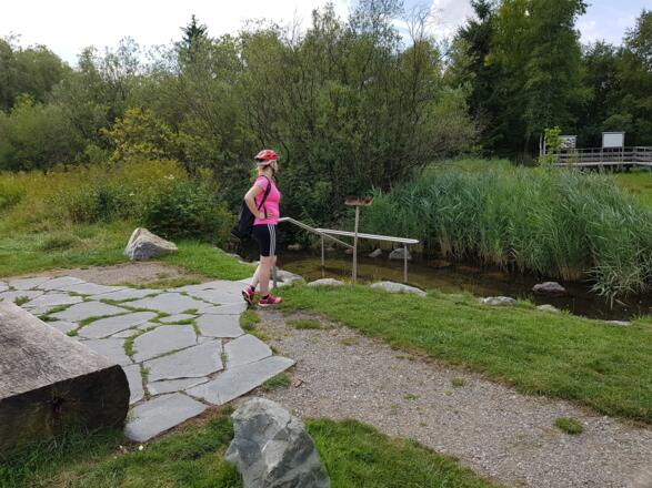Benninger Ried Tretanlage