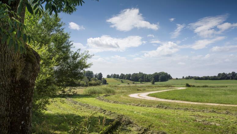 Günztal zwischen Ellzee und Waldstetten