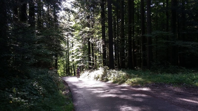 Auffahrt zum Lorenapass