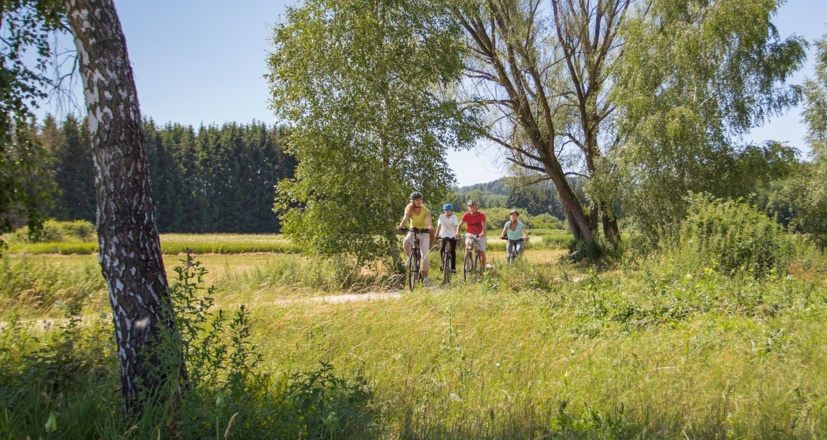 Auf dem Mindeltal-Radweg