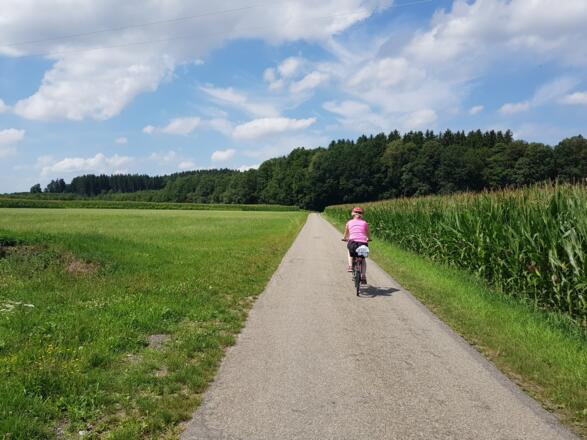 Zwischen Holzgünz und Schwaighause
