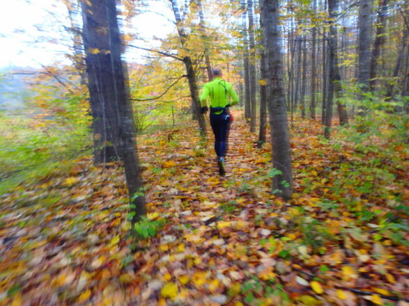 Trails in den Auwäldern