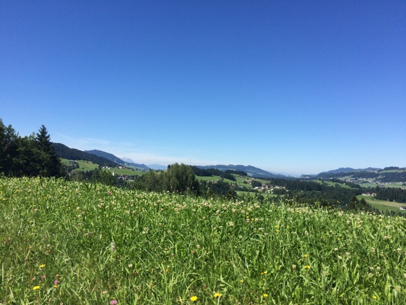 Riefensberg