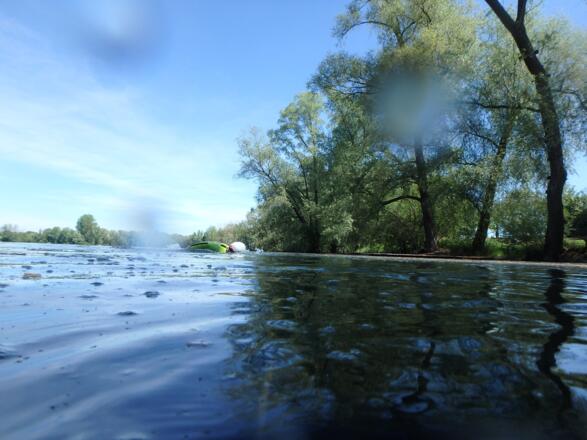Gurrensee