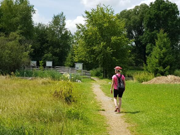 Benninger Ried Spazierweg zur Tretanlage