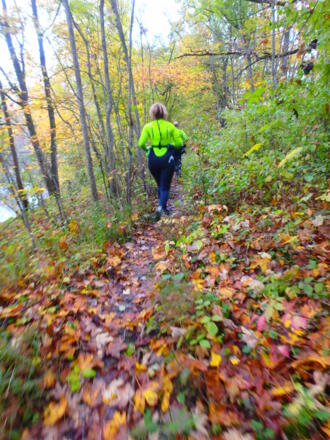 Trails in den Auwäldern