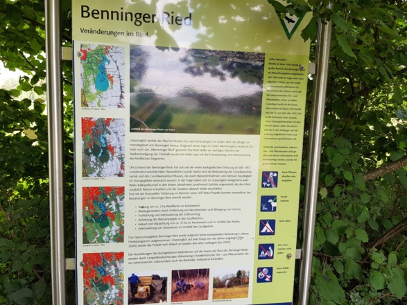 Benninger Ried Infotafel