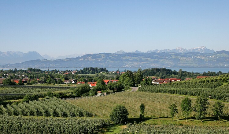 Aussicht Herrmannsberg