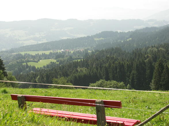 Rundblick mit Ruhebank.