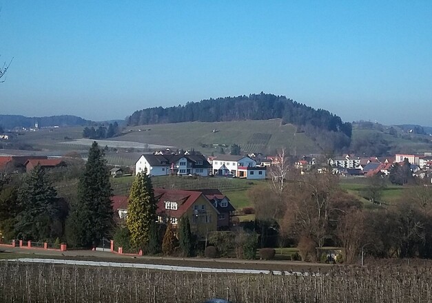 Blick vom Hoyerberg auf die Weinberge am Ringoldsberg