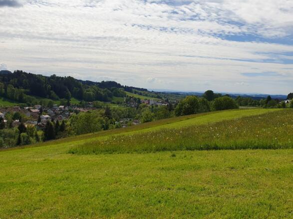 Blick zum Bodensee