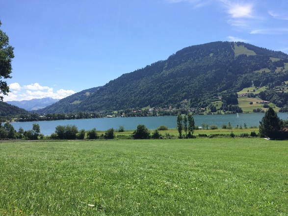 Mittwoch, 5. Juli 2017, 12:48 Uhr