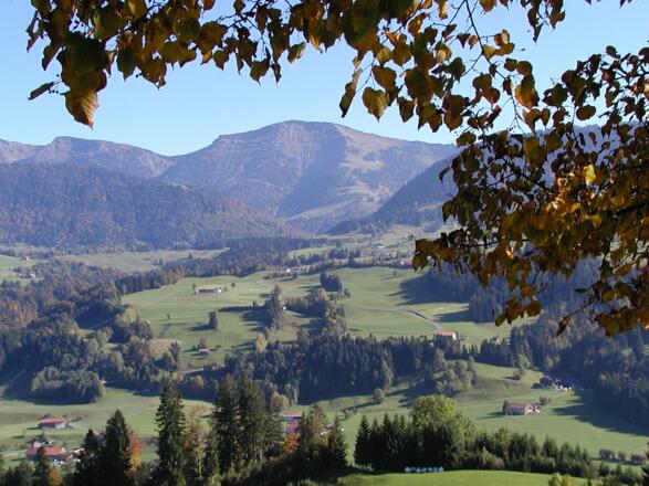 Blick auf den Hochgrat