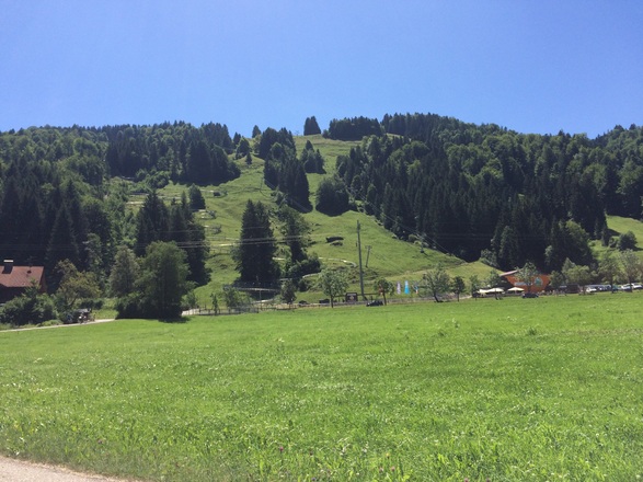 Alpsee Skizirkus mit Sommerrodelbahn
