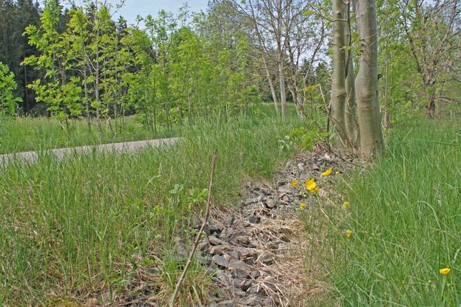 Radeln entlang der ehemaligen Bahntrasse