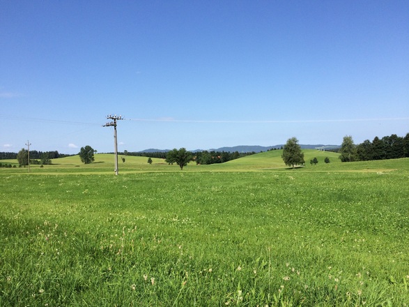Oberreute