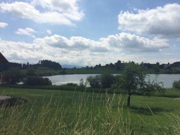 immer wieder kleine Seen