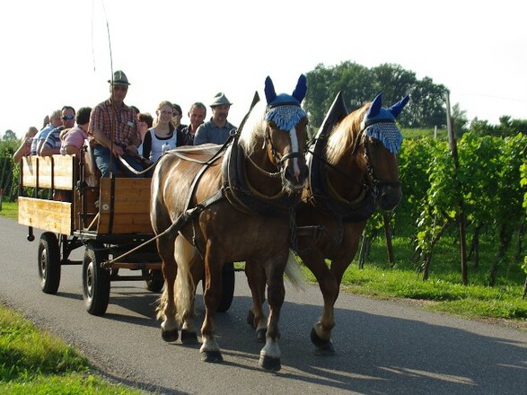 Pferdekutschfahrt Wasserburg
