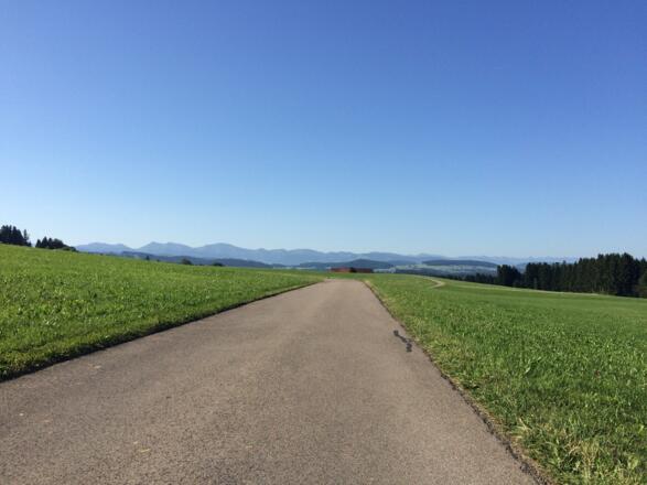 Isnyberg mit Blick auf die Allgäuer Alpen