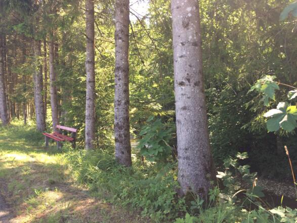 Natur pur