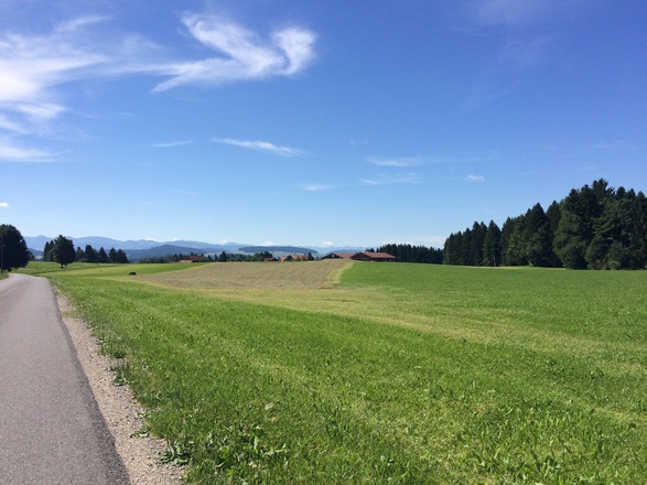 Isnyberg mit Blick auf die Alpen