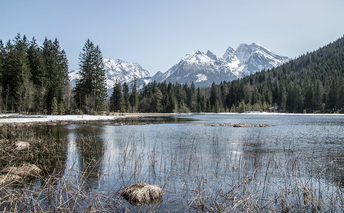Der Taubensee im Frühling