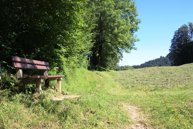 Idyllischer Rastplatz zwischen Frauenhof und Heinrich