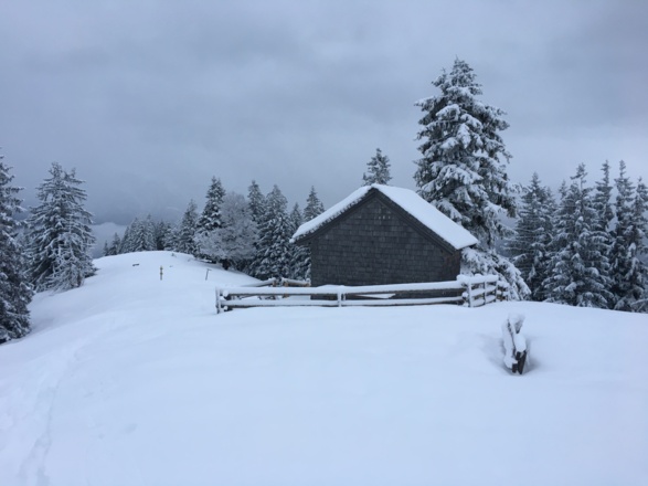 Bezoldhütte Hochschwarzeck