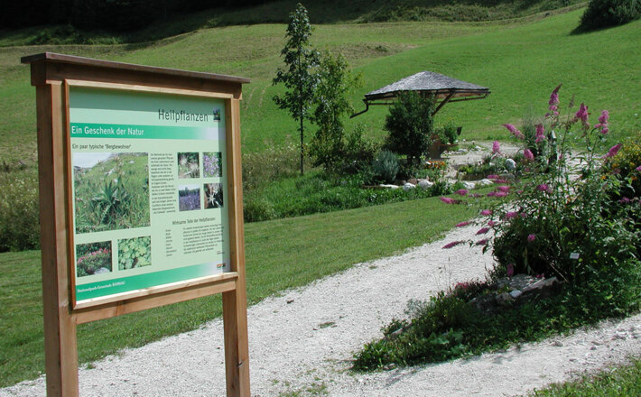 Heilpflanzen im Kräutergarten
