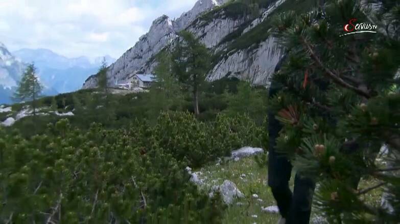 Blaueishütte - Alpenvereinshütte