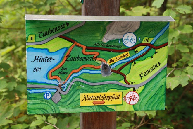 Naturlehrpfad durch den Zauberwald