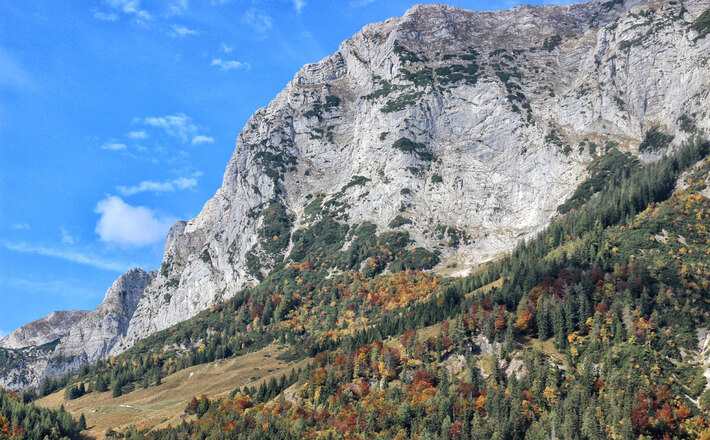 Die Weidefläche der Halsalm unter den Abstürzen der Reiter Alm