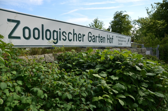 Zoo Hof