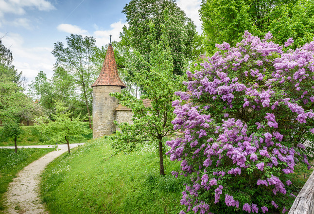 Bad Rodach | Ortsansicht
