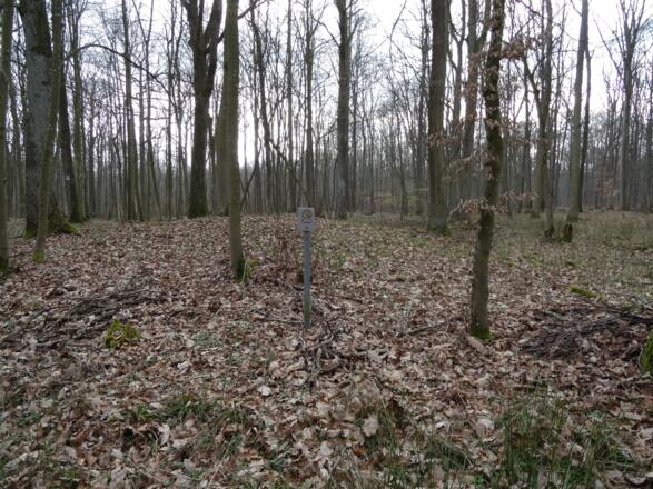 Grabhügelgruppe Gammershof