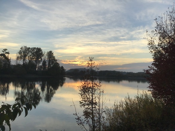 Schleifenroute - Deggendorf Donau Auen