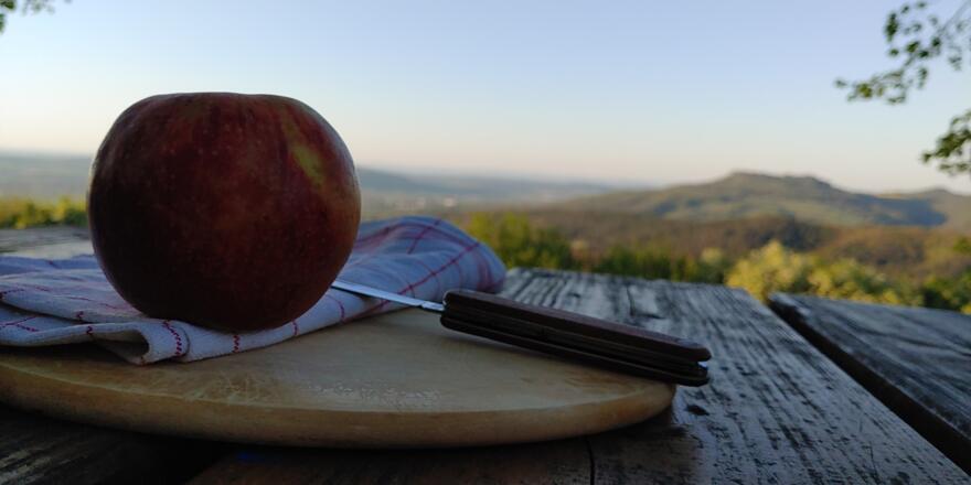 Picknick am Veitsberg( Ansberg)