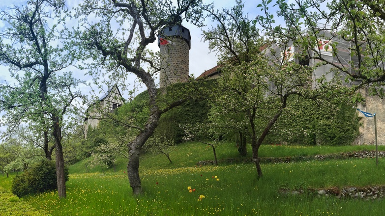 Burg Zwernitz