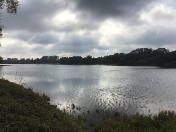 Schleifenroute - die Donau ist immer in der Nähe auf der Strecke Deggendorf/Straubing