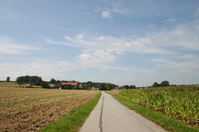 Der Radweg bei Prunn.