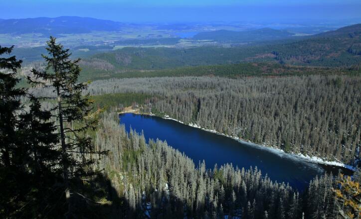 Plešné jezero