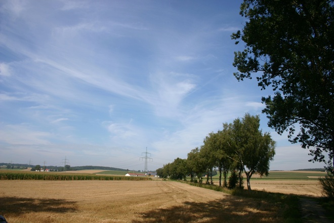 Auf der Allee kurz vor Eichendorf.
