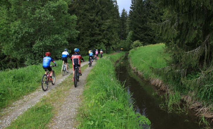 Schwarzenberský plavební kanál