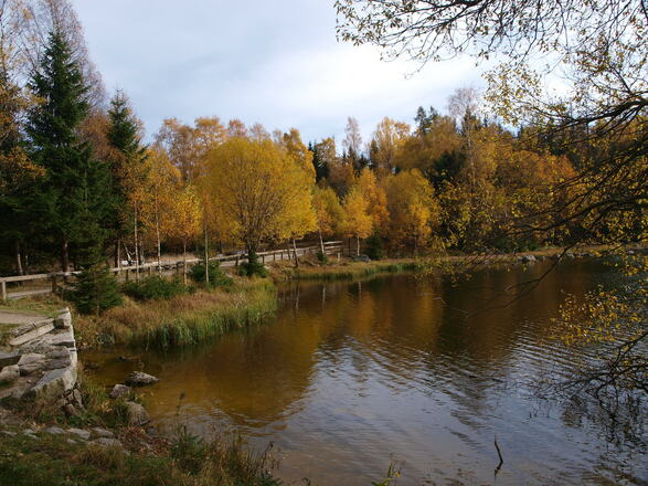 Plöckensteiner See 1.090 m