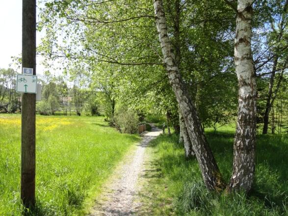 Radwegstück entlang des Waldbahn-Radweges 