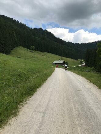 Forststrasse zur Alm